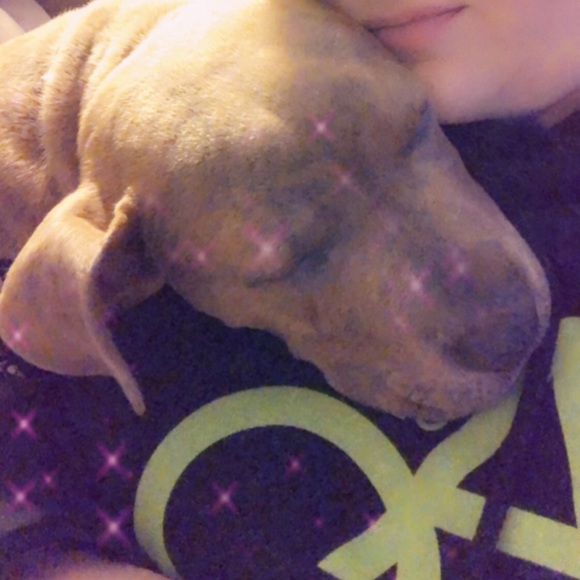 Meet your Posher, Joshua - Picture 1 of 1